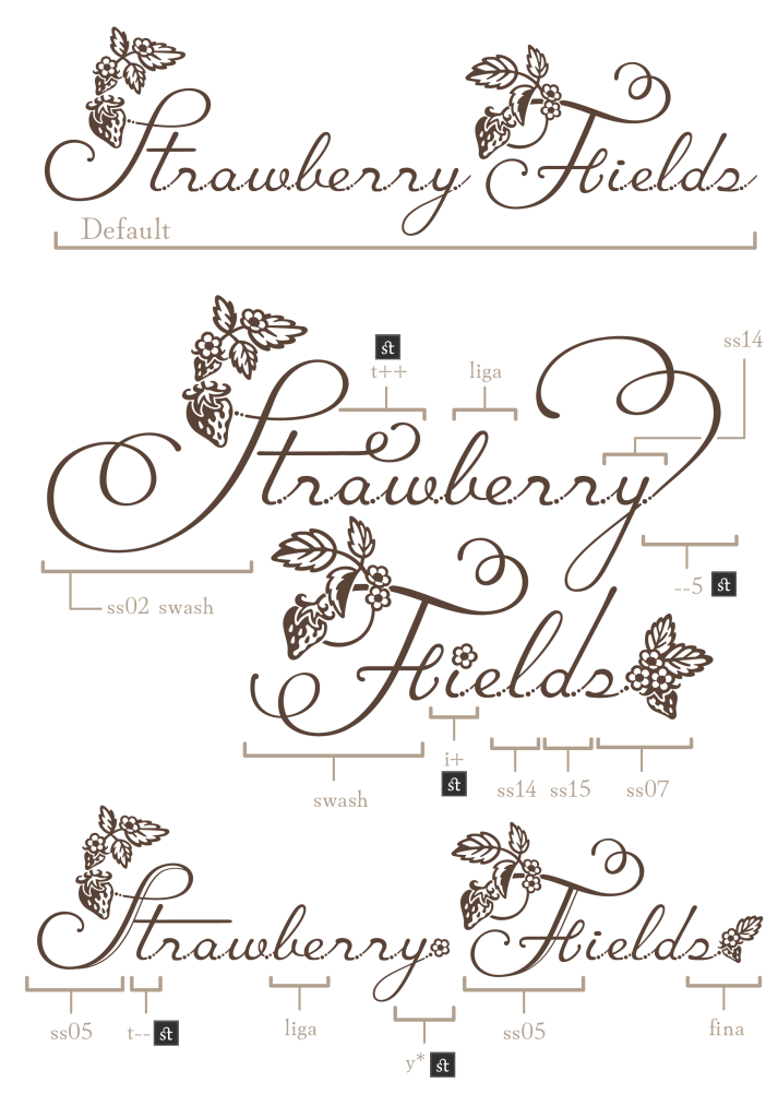 使用例01（Strawberry Fields）