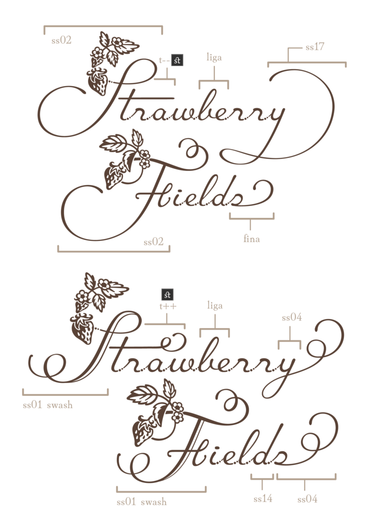 使用例02（Strawberry Fields）