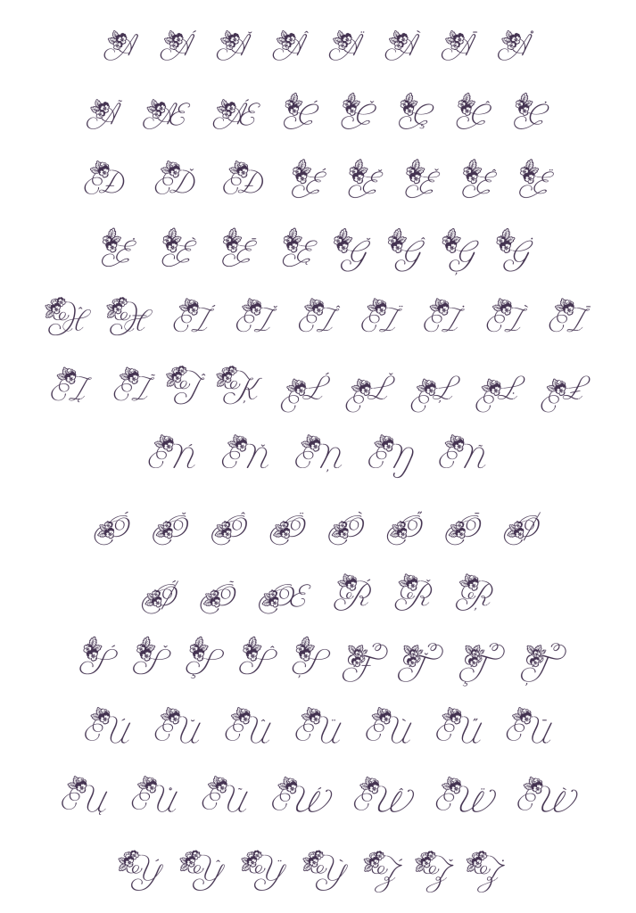 大文字ラテンss06（Viola Script）